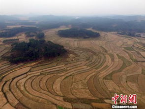 環保部原則通過農用地土壤環境管理辦法草案，推動環境治理新階段